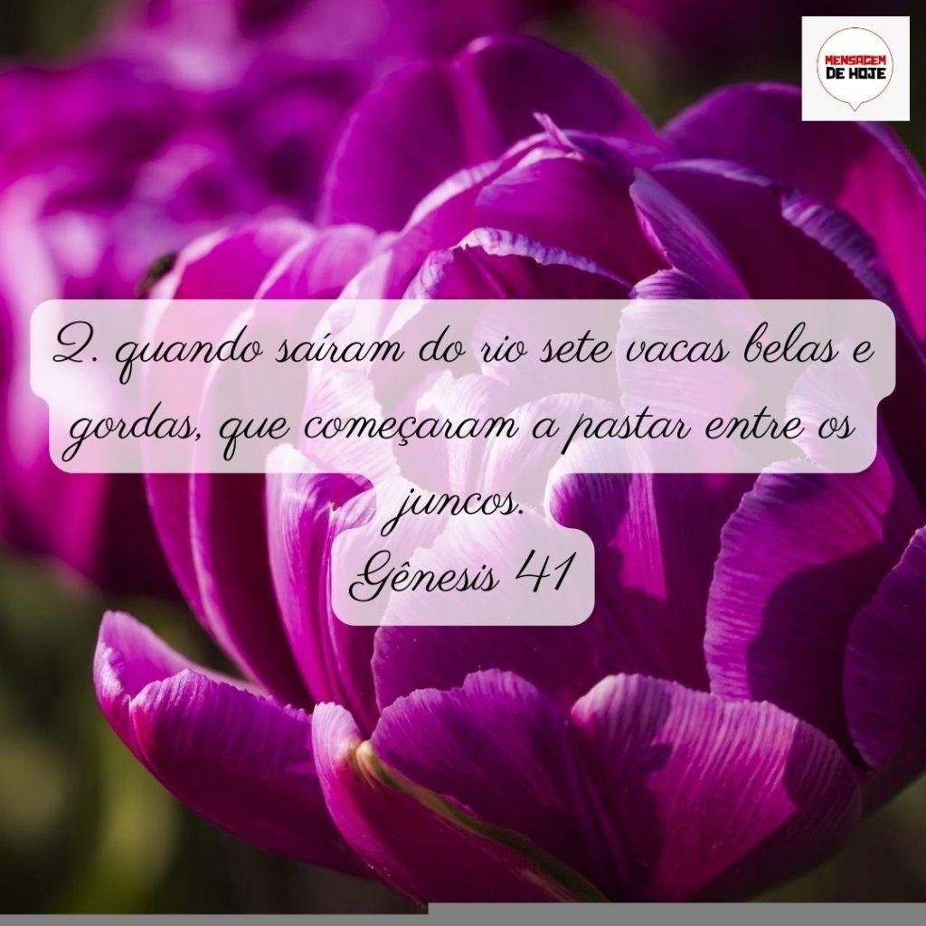 Salmos 30 de Junho de 2022 3