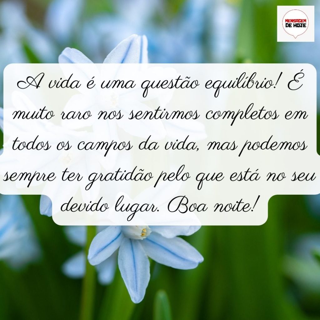 Boa Noite 03 de Julho de 2022 3