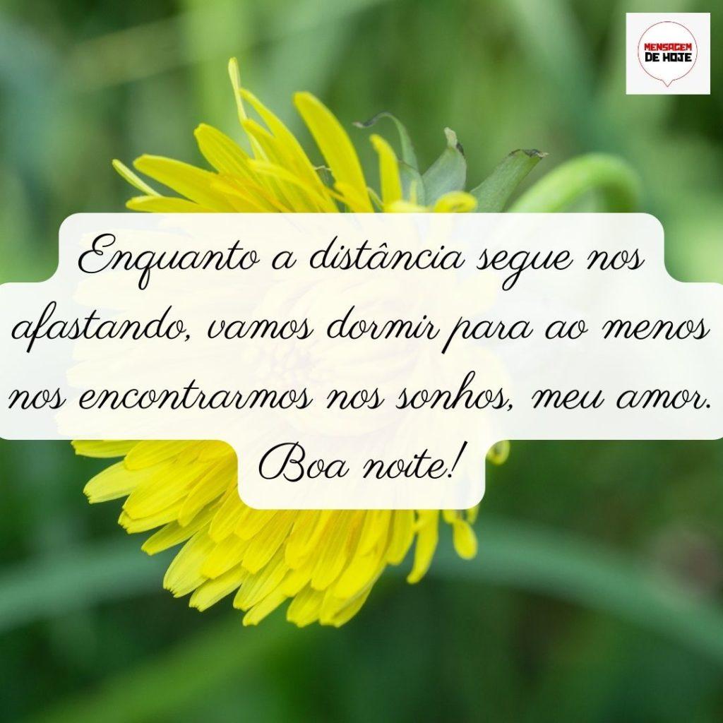Boa Noite 03 de Julho de 2022 7