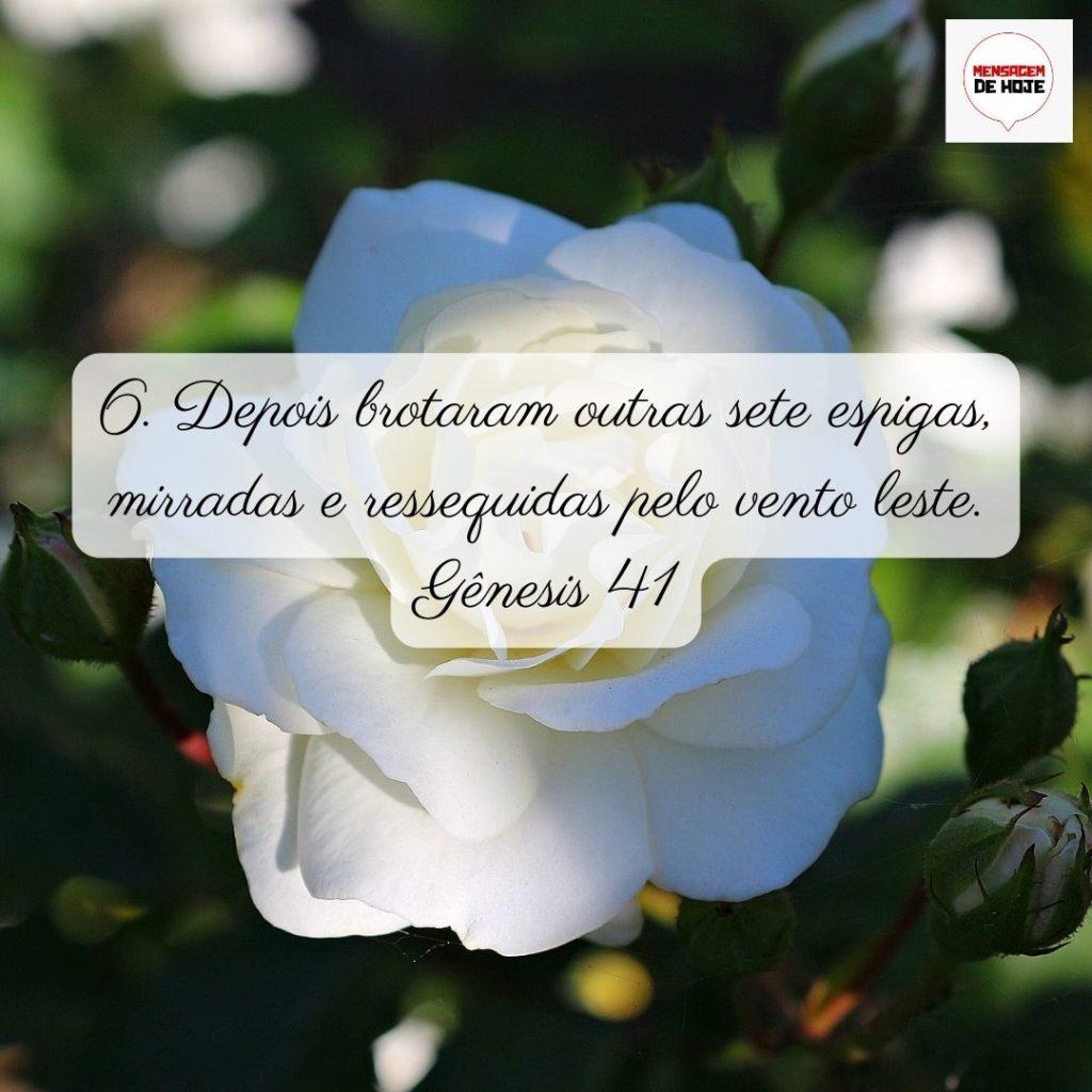 Salmos 30 de Junho de 2022 11