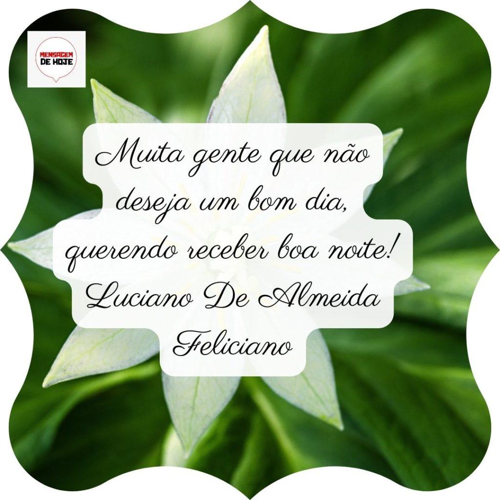 Boa Noite 21 de Junho de 2022 9