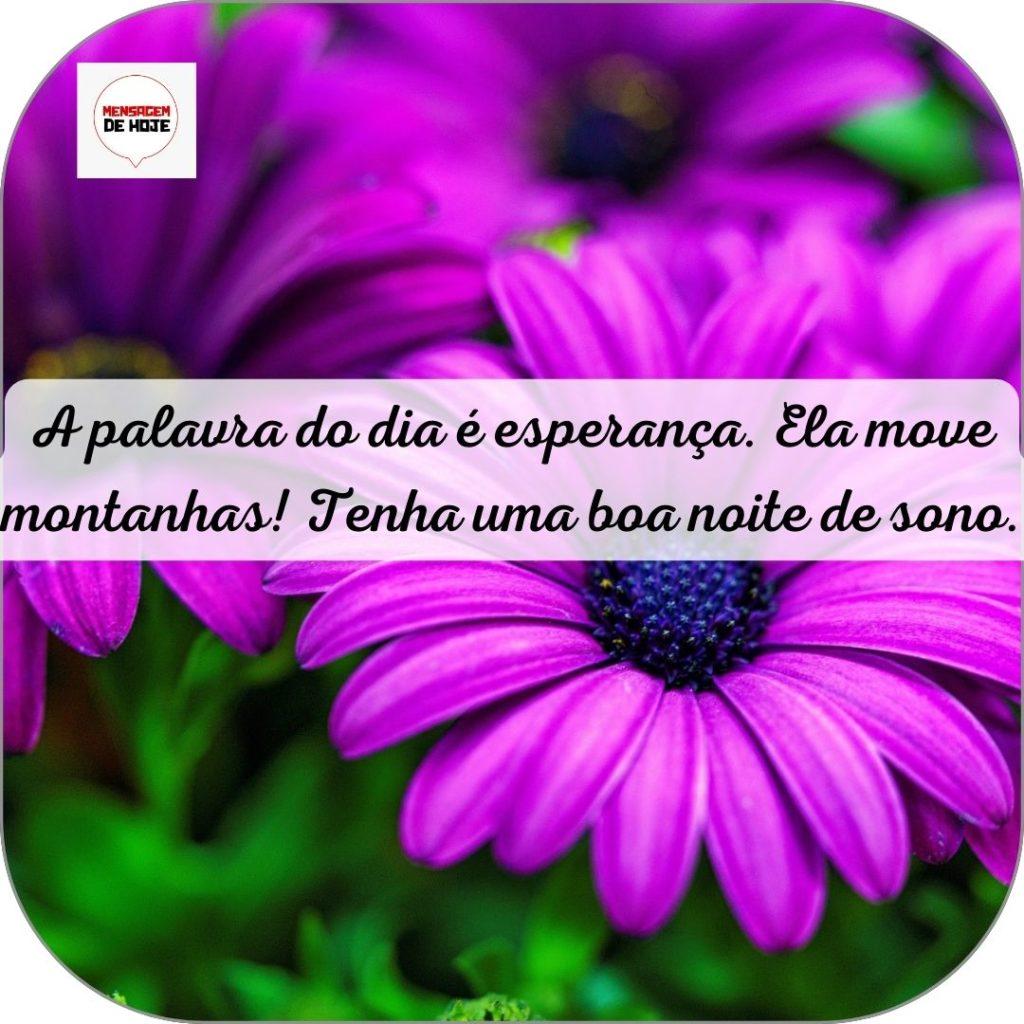 Boa Noite 15 de Junho de 2022 7