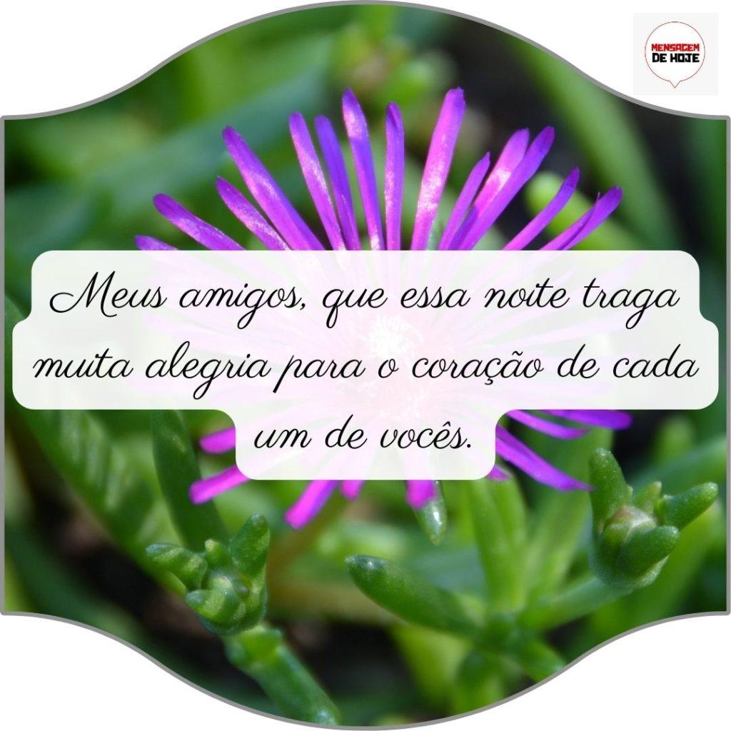 Boa Noite 05 de Julho de 2022 3
