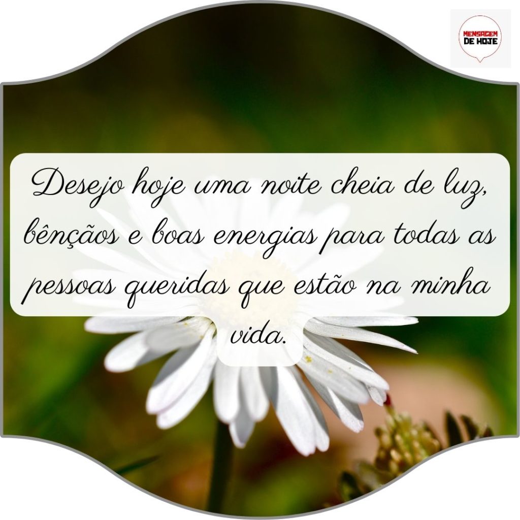 Boa Noite 05 de Julho de 2022 15