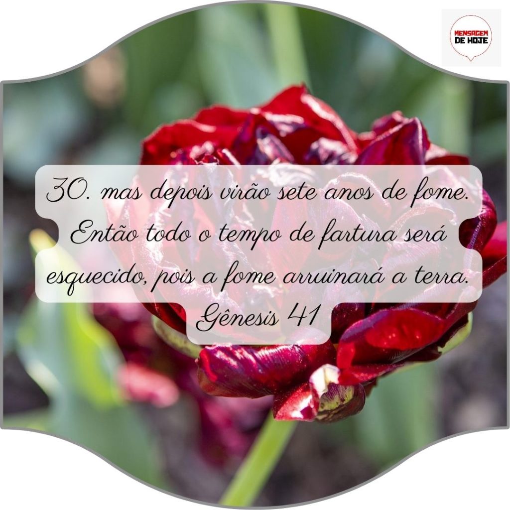 Salmos 09 de Julho de 2022 19