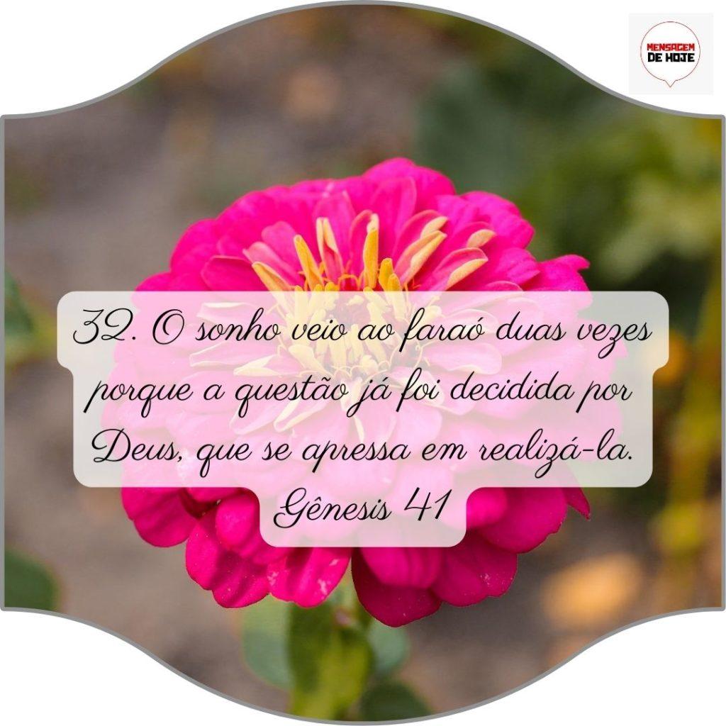 Salmos 08 de Julho de 2022 3
