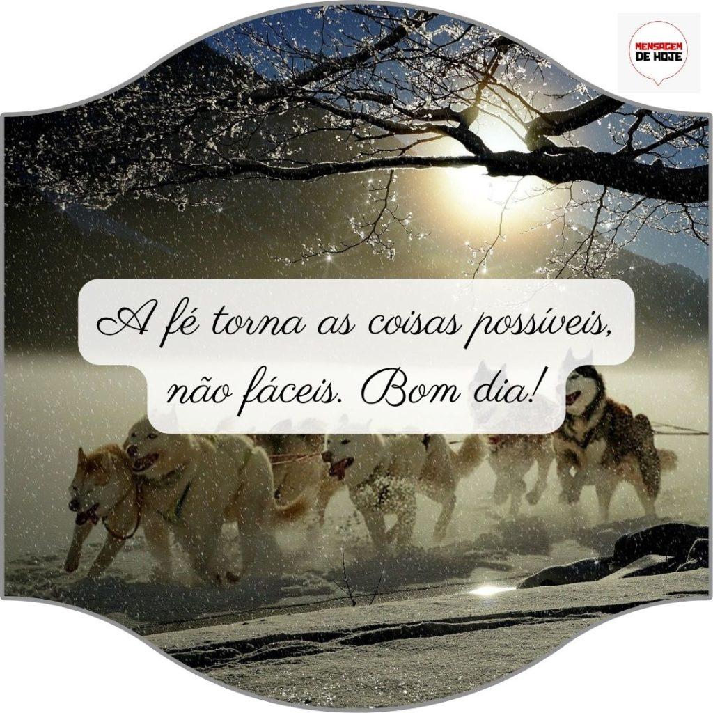 Bom Dia 05 de Julho de 2022 9