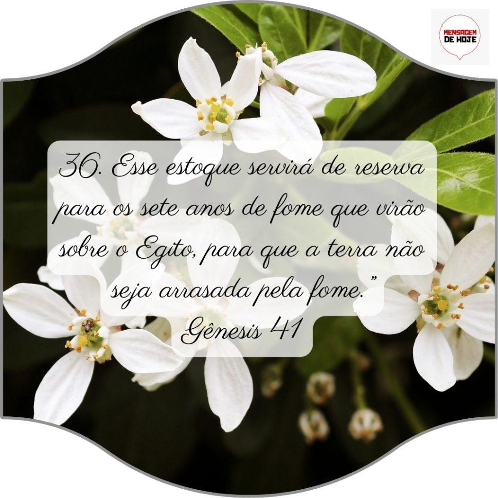 Salmos 08 de Julho de 2022 11