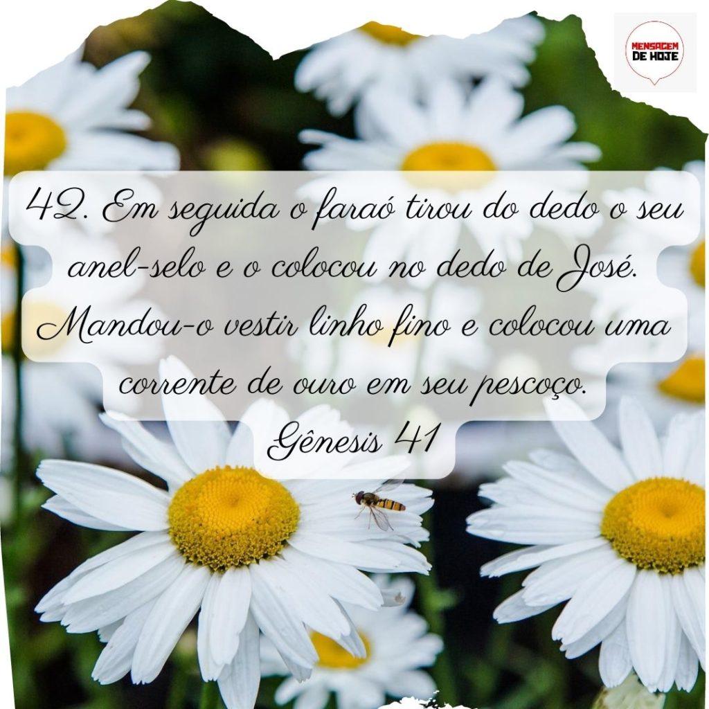 Salmos 01 de Julho de 2022 3