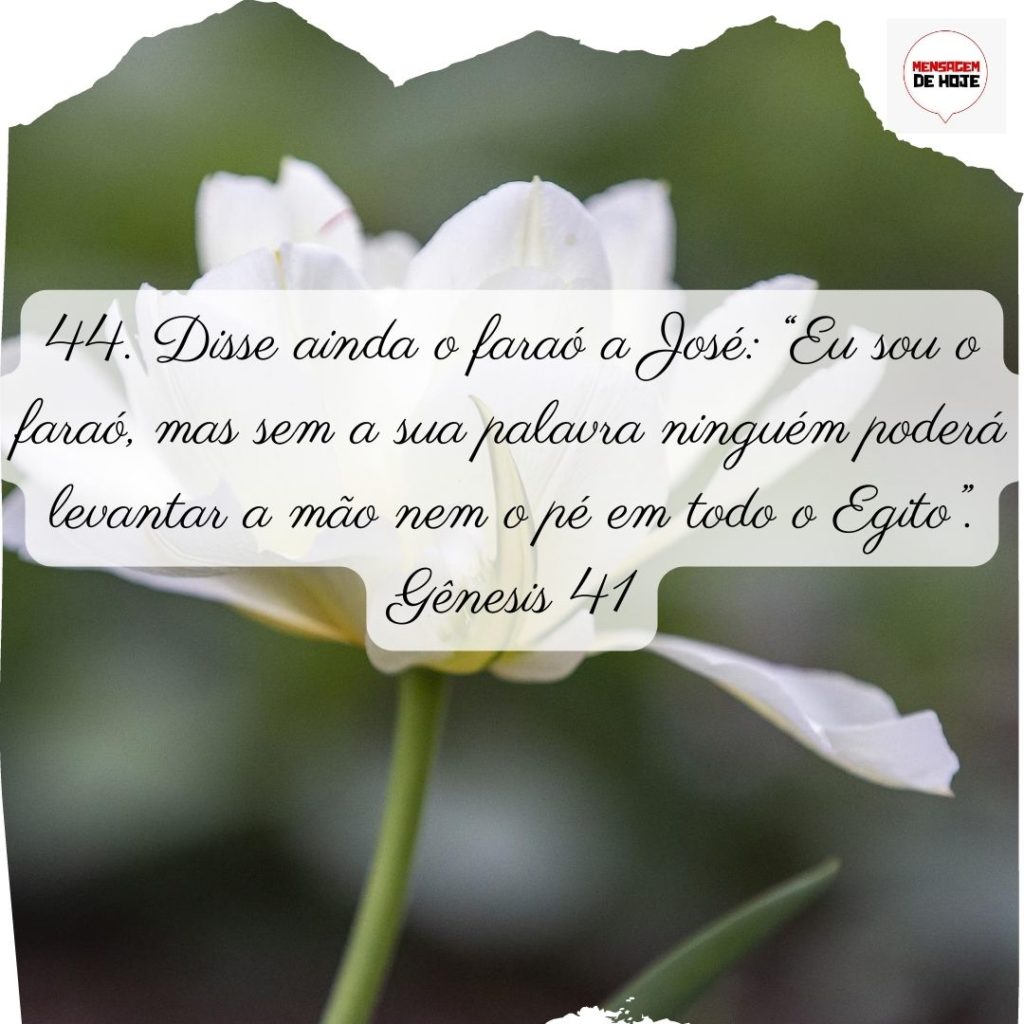 Salmos 01 de Julho de 2022 7