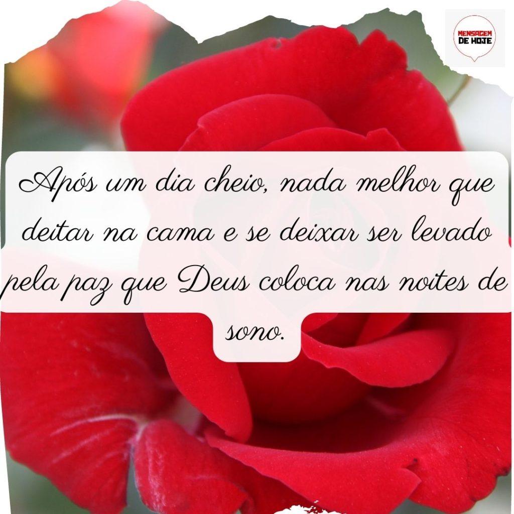 Boa Noite 07 de Julho de 2022 11