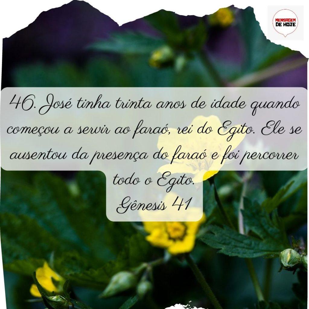 Salmos 01 de Julho de 2022 11
