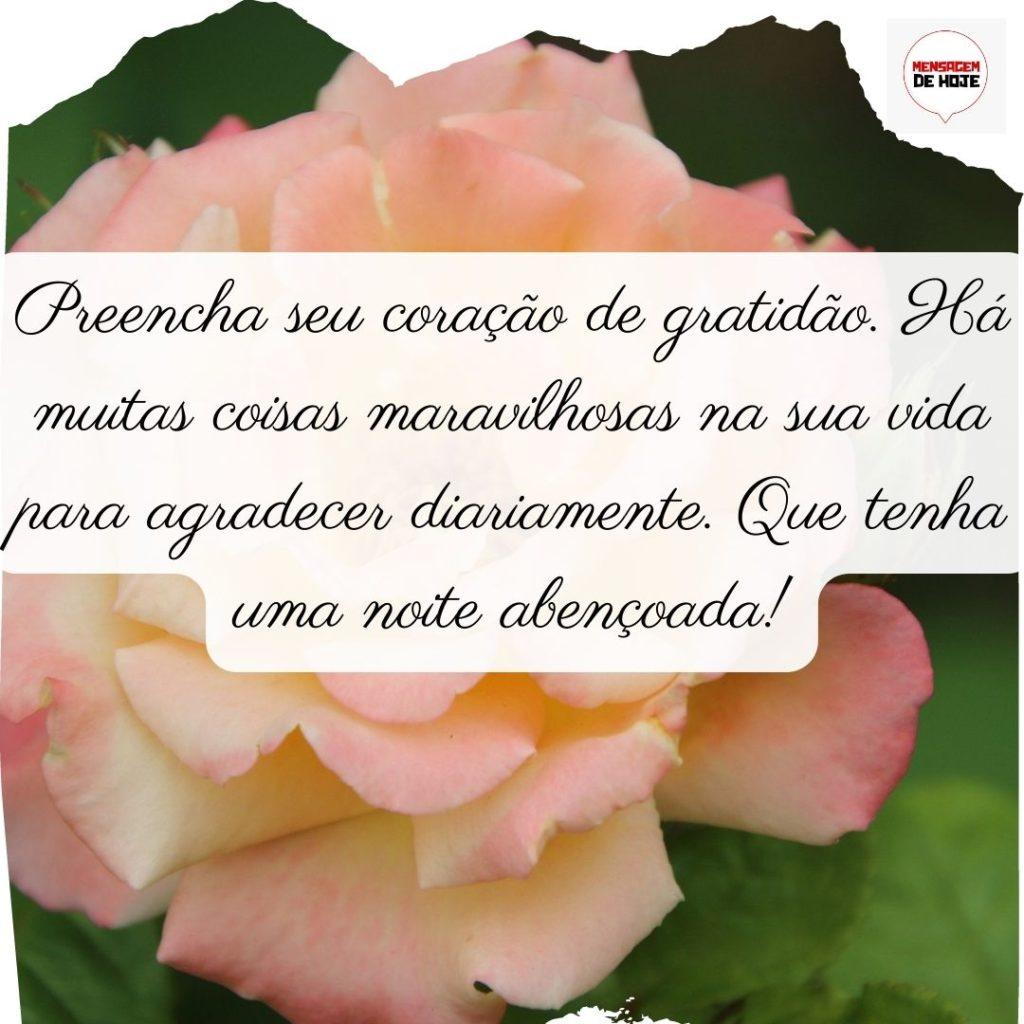 Boa Noite 07 de Julho de 2022 15