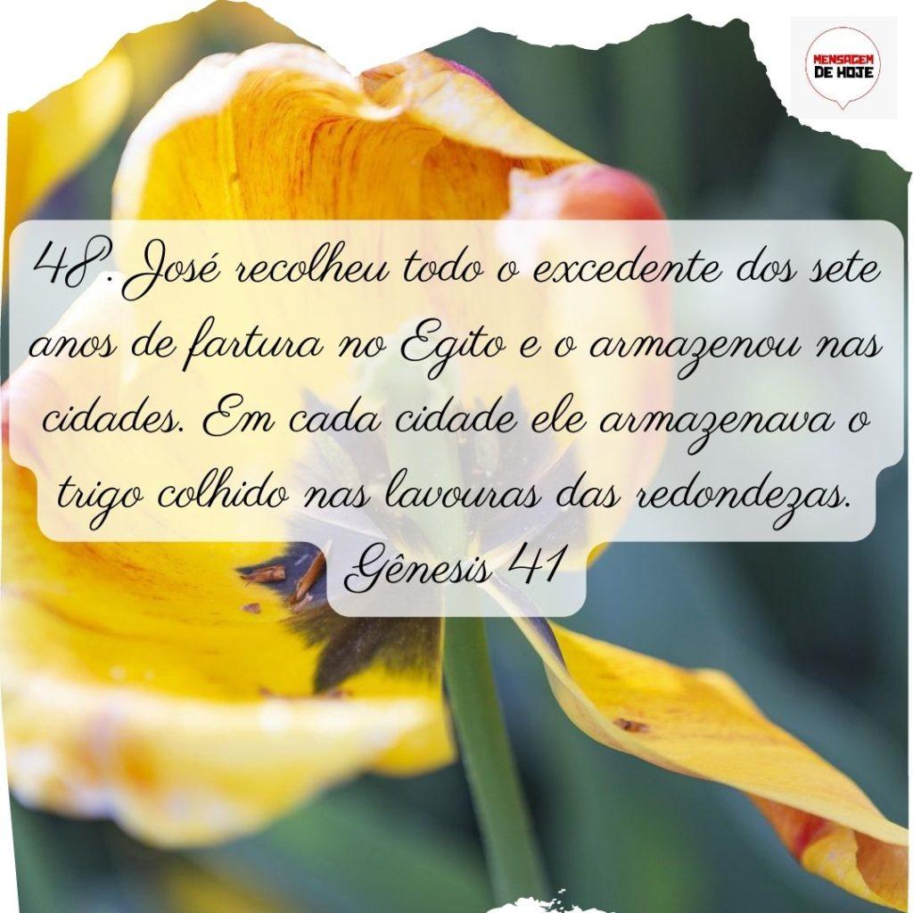 Salmos 01 de Julho de 2022 15