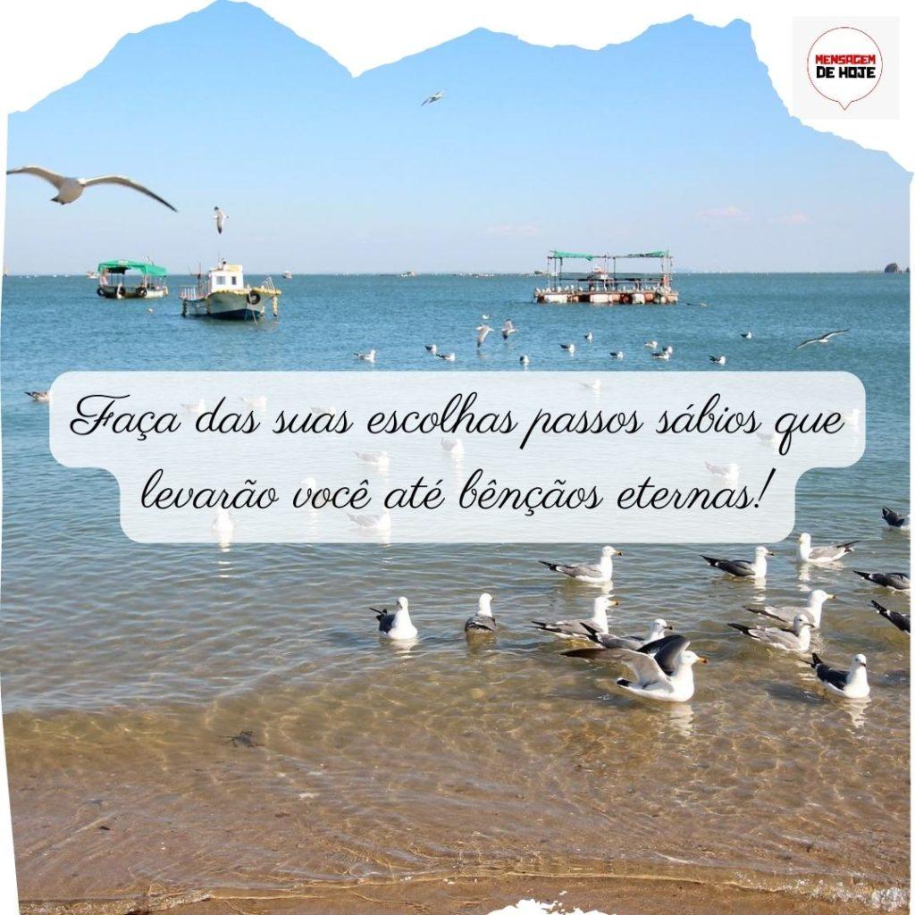 Pensamentos 21 de Junho de 2022 17