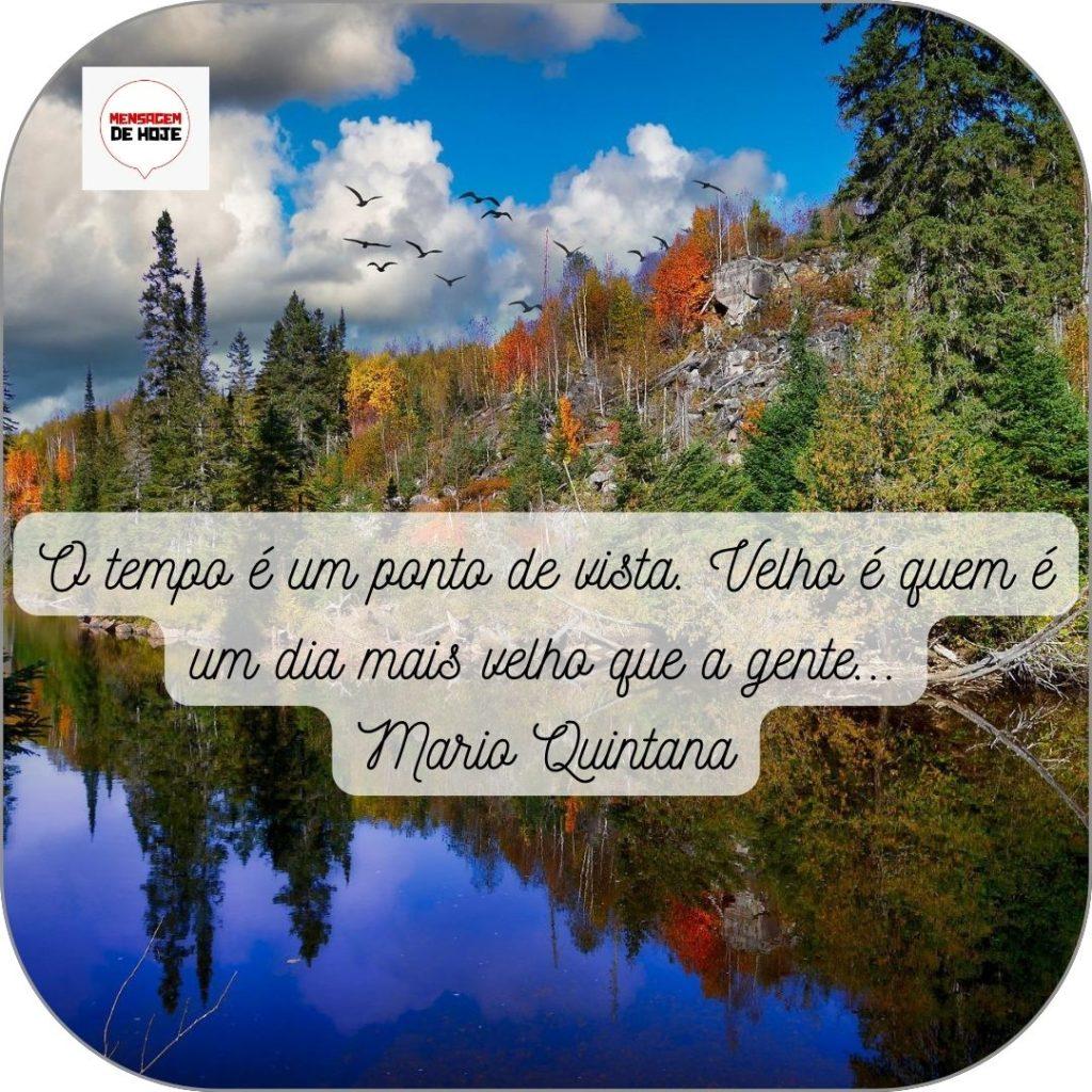 Pensamentos 16 de Junho de 2022 13