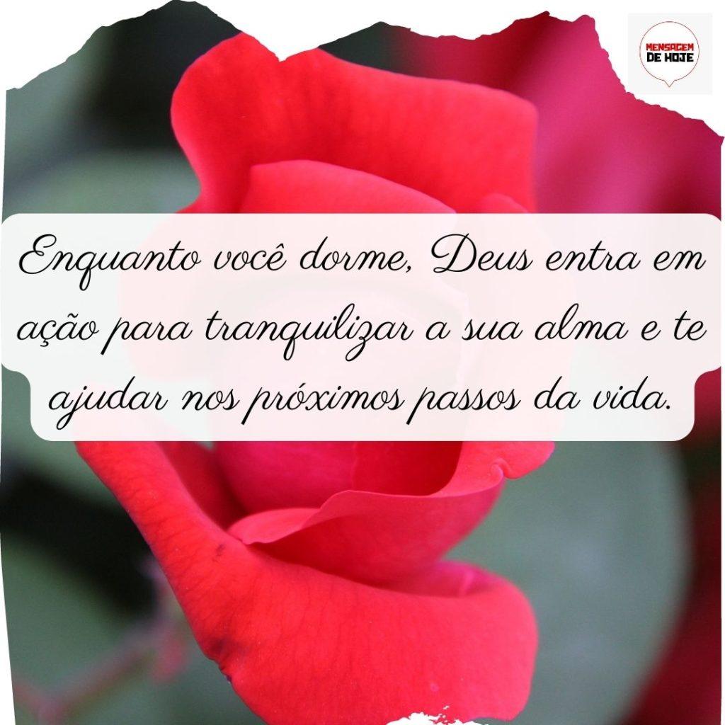 Boa Noite 07 de Julho de 2022 19