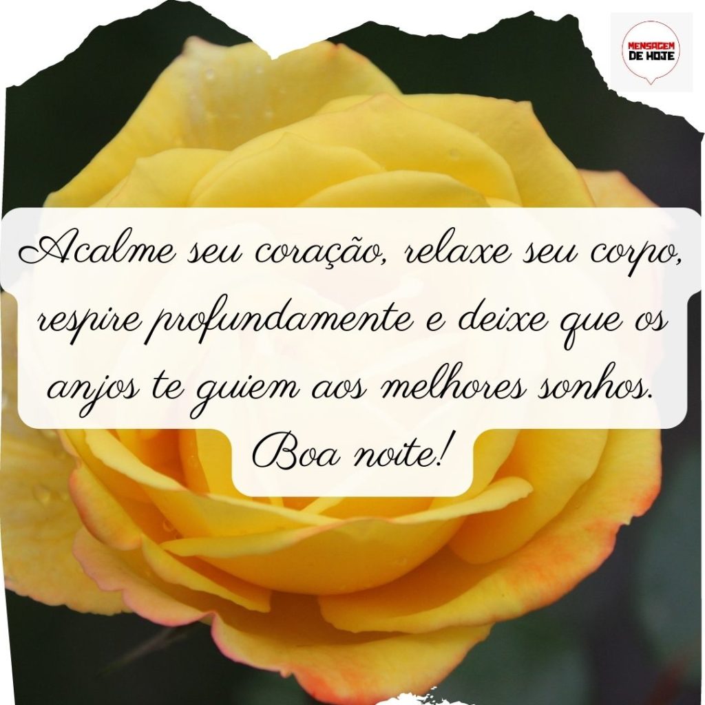 Boa Noite 08 de Julho de 2022 3