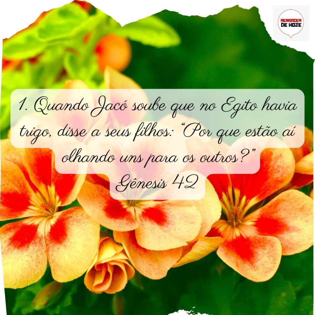 Salmos 02 de Julho de 2022 15