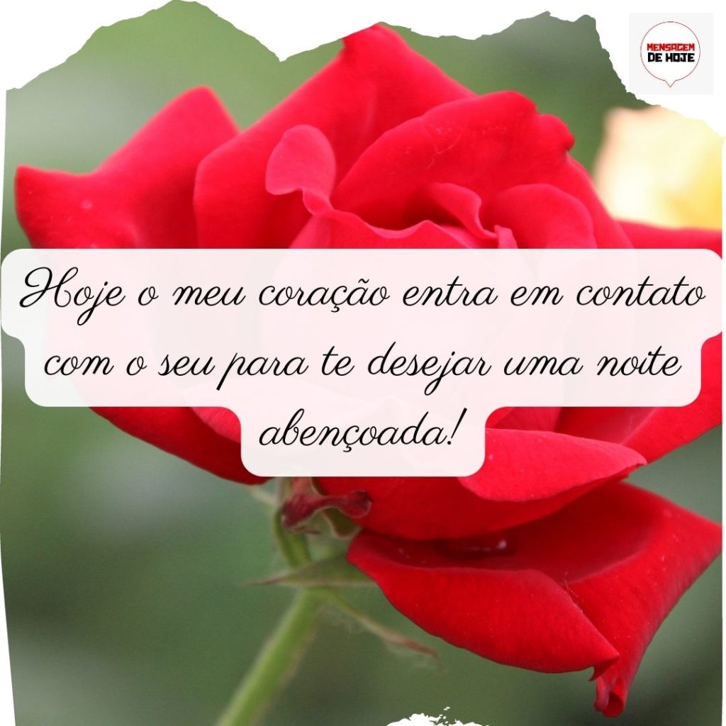 Boa Noite 08 de Julho de 2022 19