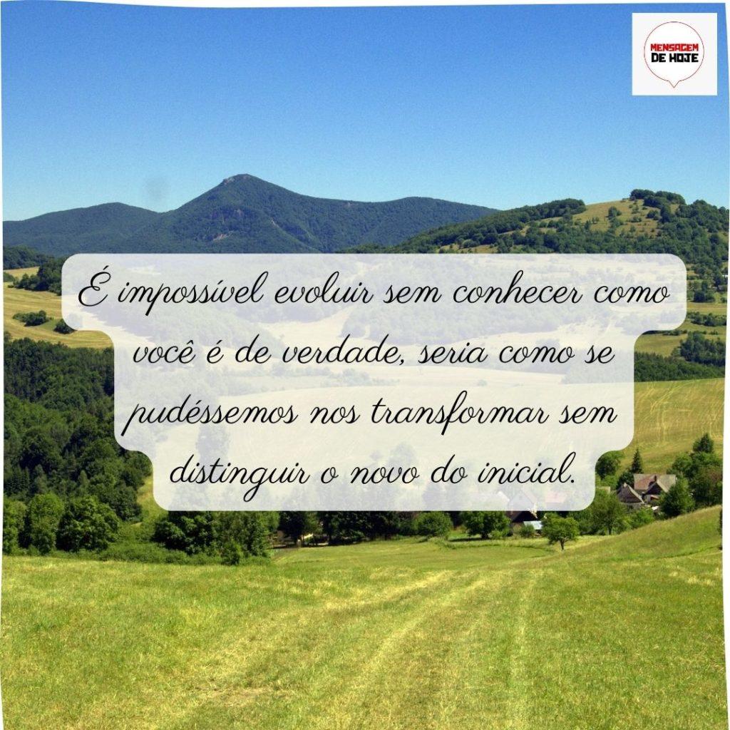 Pensamentos 19 de Junho de 2022 3
