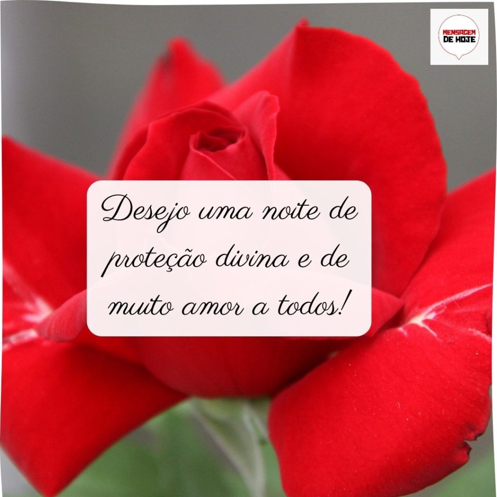 Boa Noite 09 de Julho de 2022 7