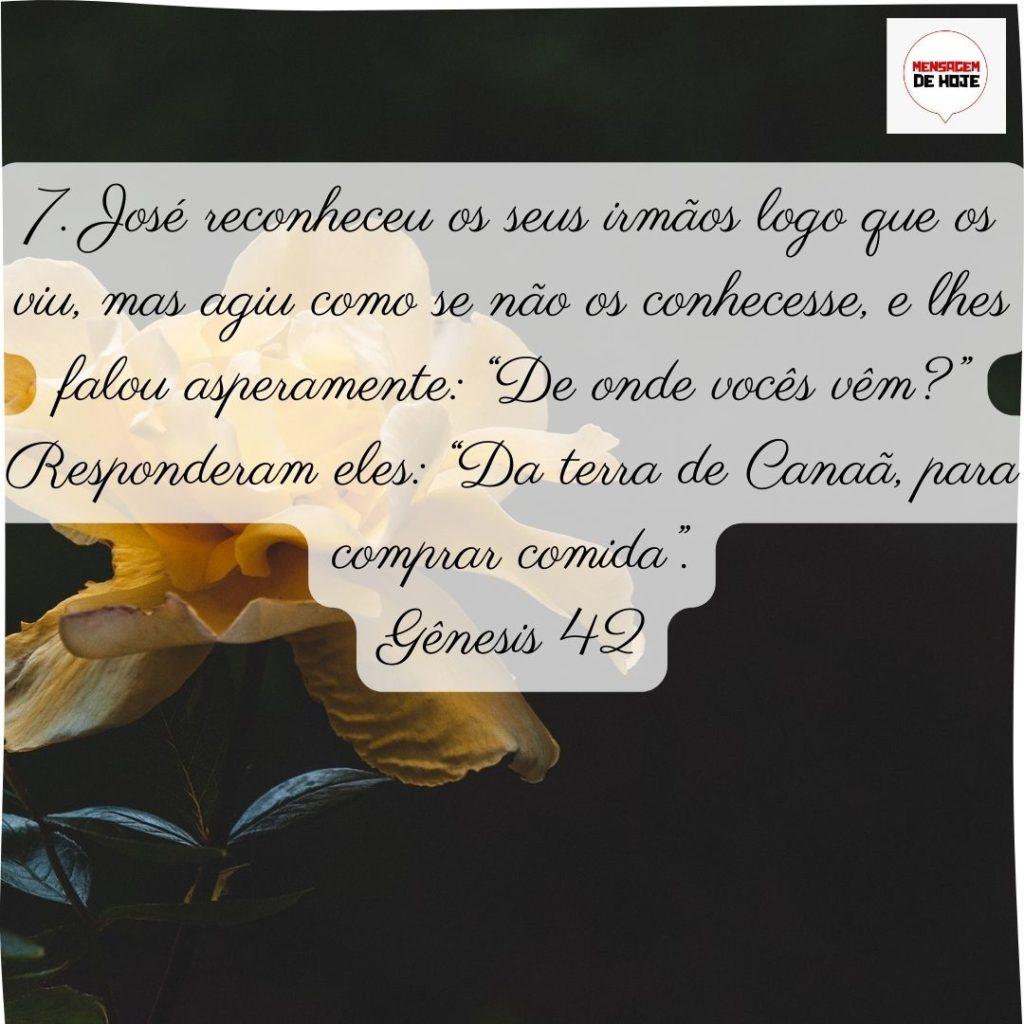 Salmos 03 de Julho de 2022 7