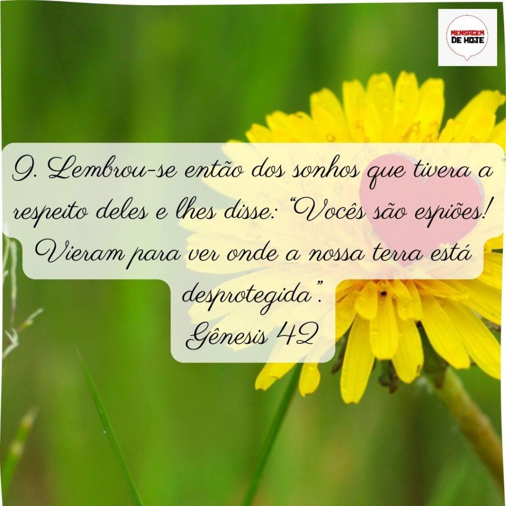 Salmos 03 de Julho de 2022 11