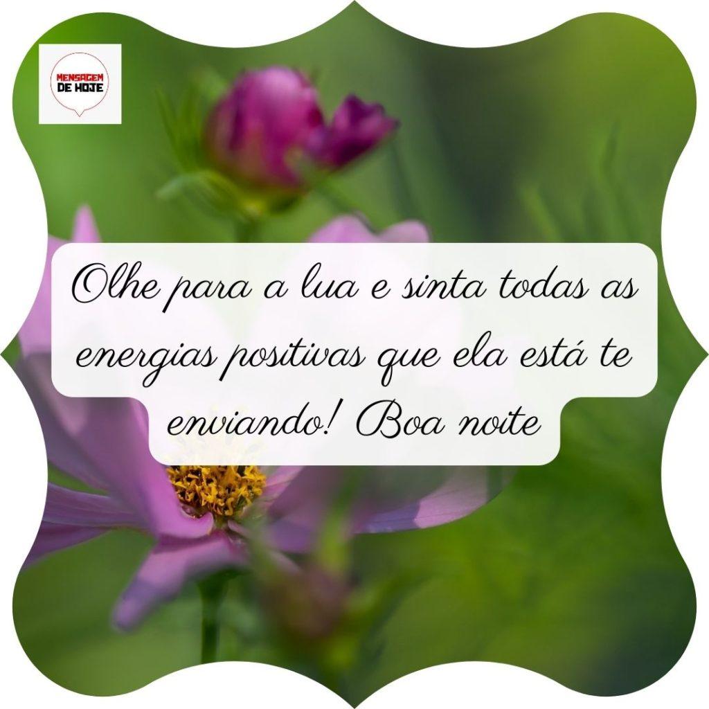 Boa Noite 21 de Junho de 2022 1