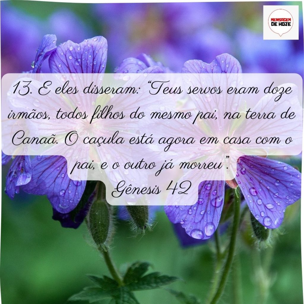Salmos 03 de Julho de 2022 19