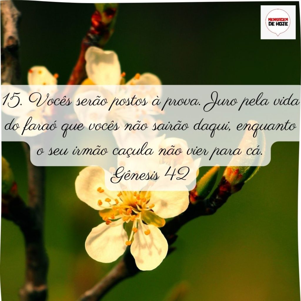 Salmos 04 de Julho de 2022 3