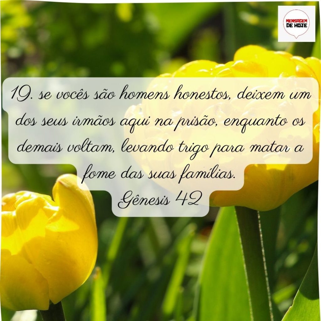 Salmos 04 de Julho de 2022 11