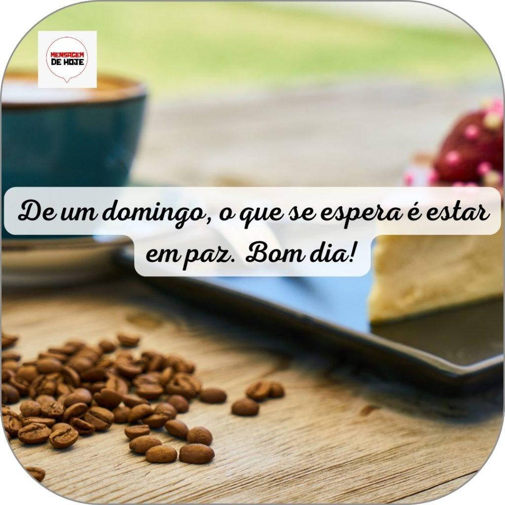 Bom Dia 25 de Junho de 2022 3