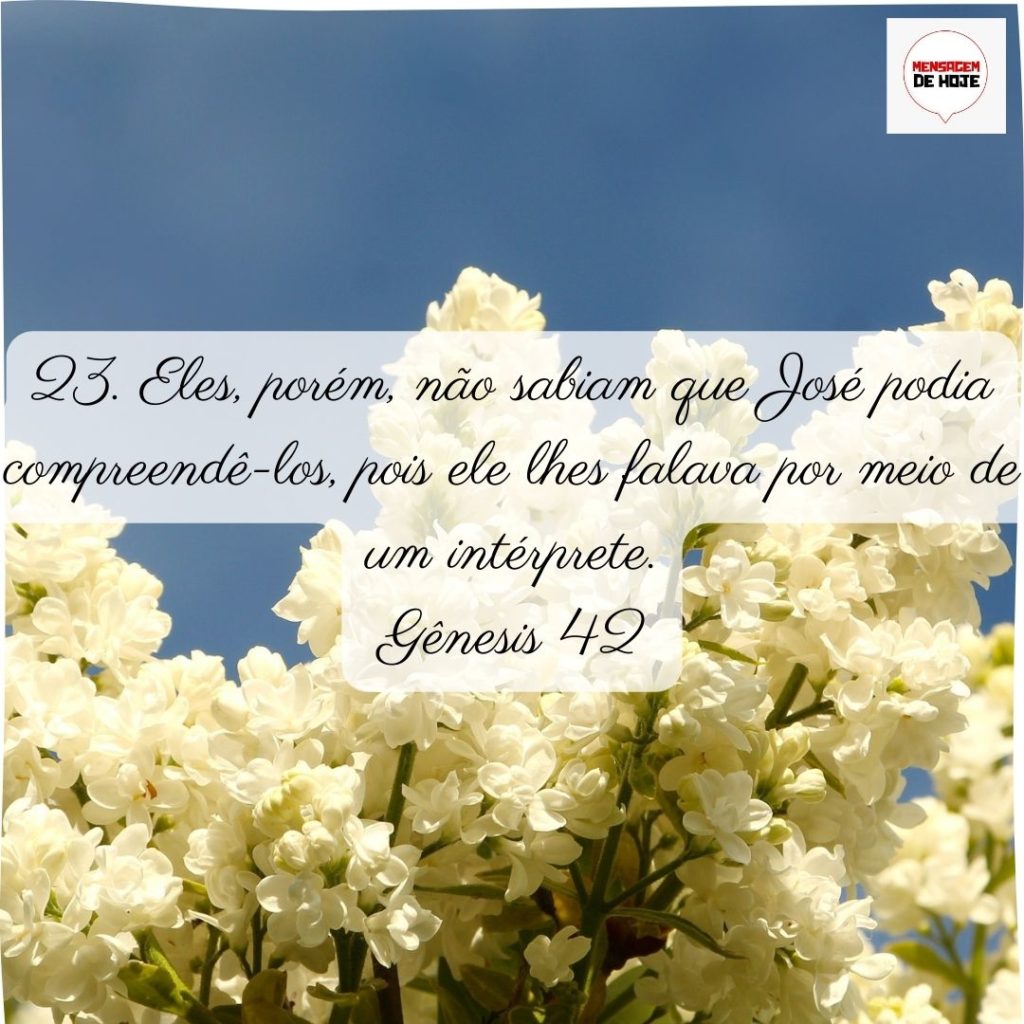 Salmos 04 de Julho de 2022 19