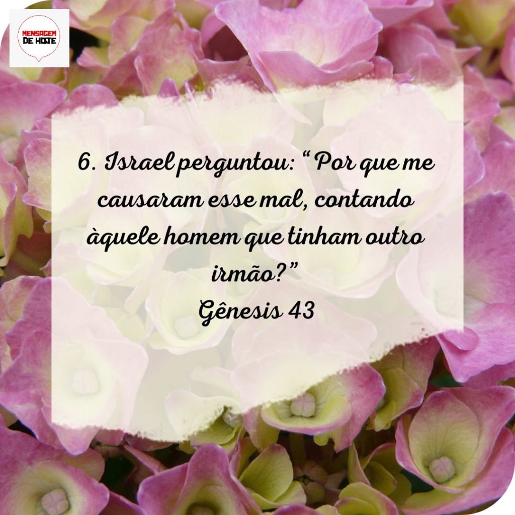 Salmos 07 de Julho de 2022 1