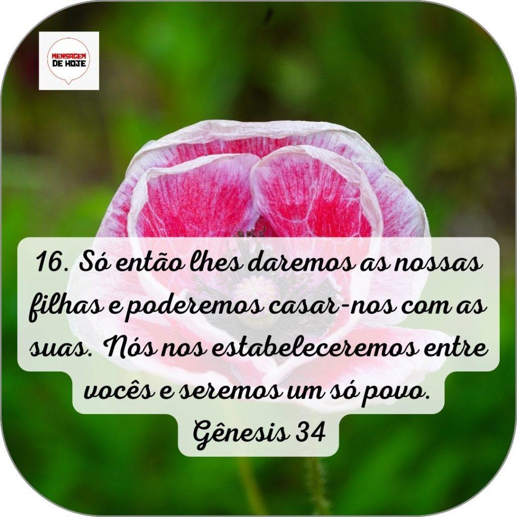 Salmos 06 de Junho de 2022 1