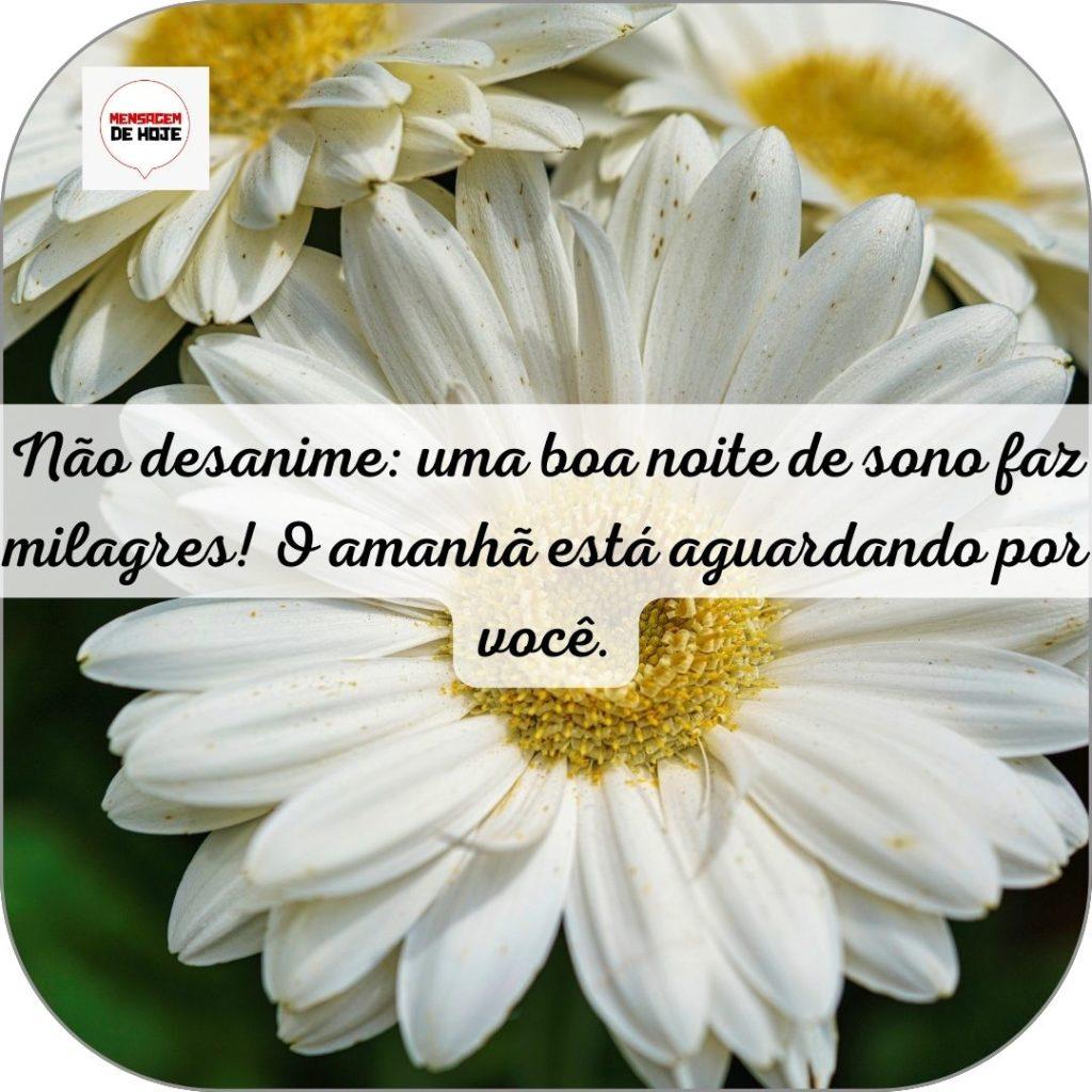 Boa Noite 11 de Junho de 2022 3