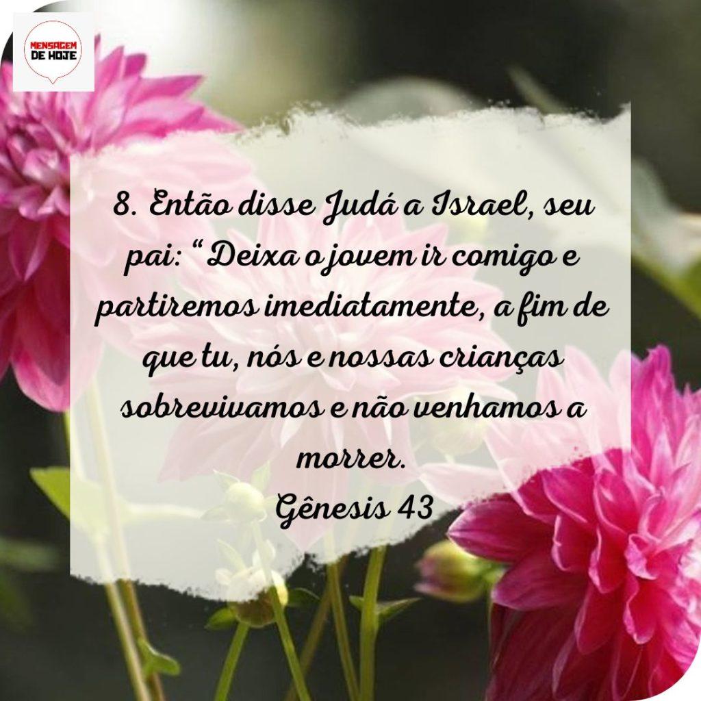 Salmos 07 de Julho de 2022 5