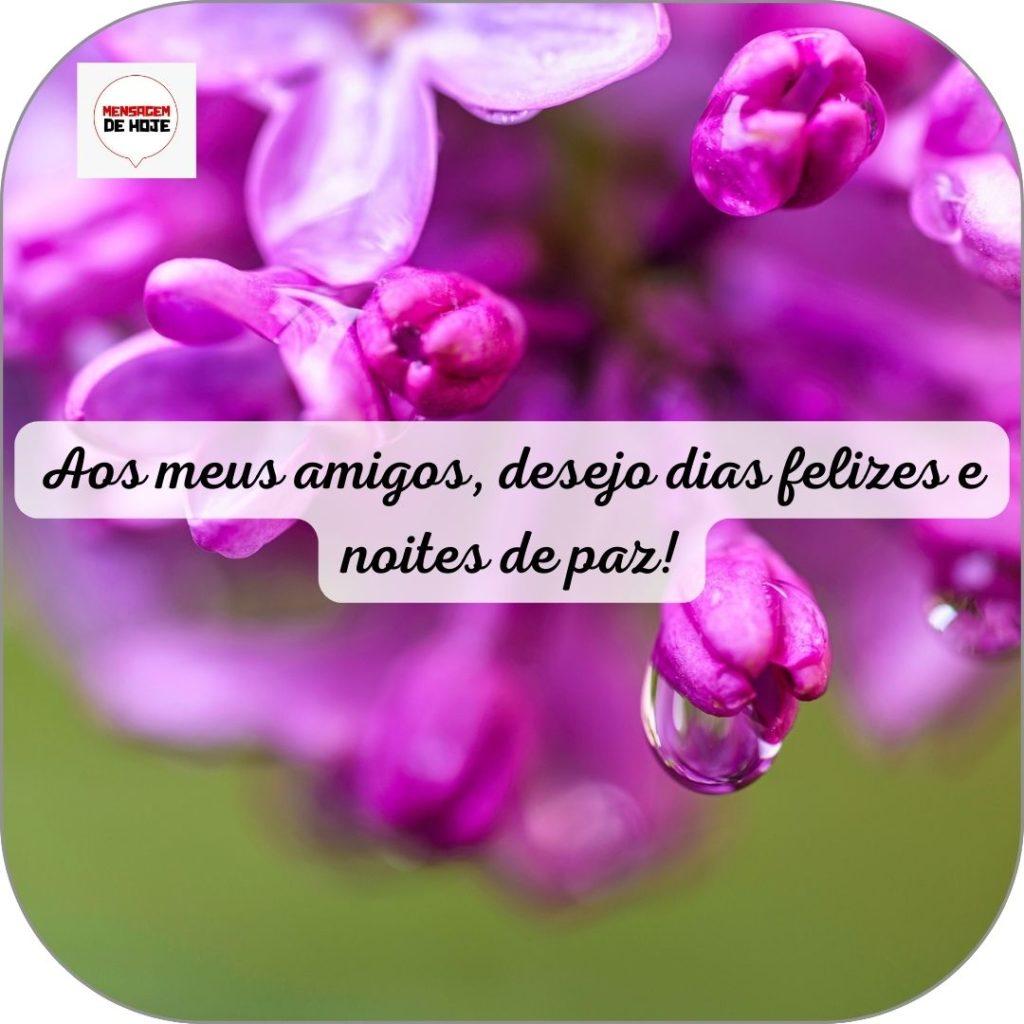Boa Noite 11 de Junho de 2022 7