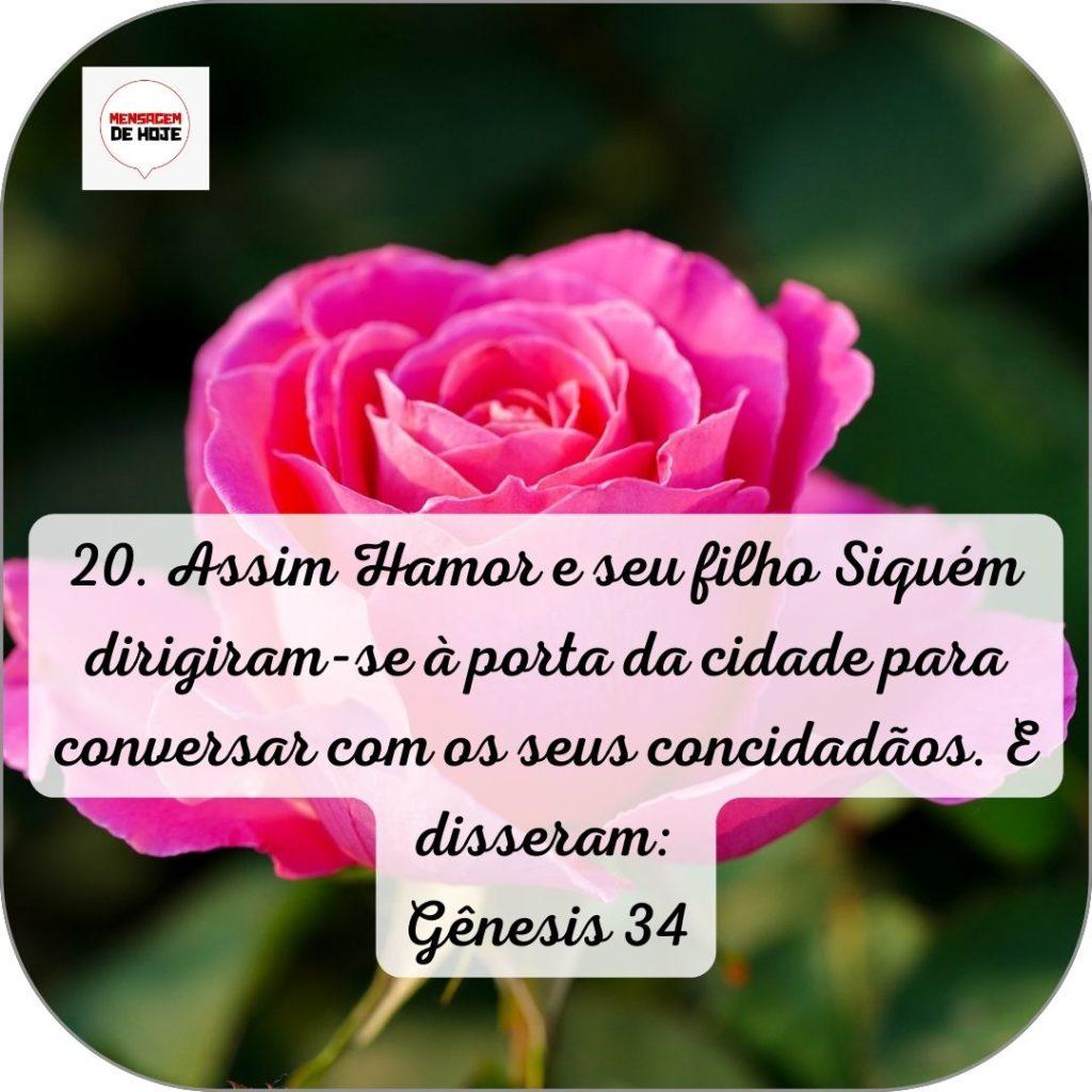 Salmos 06 de Junho de 2022 9