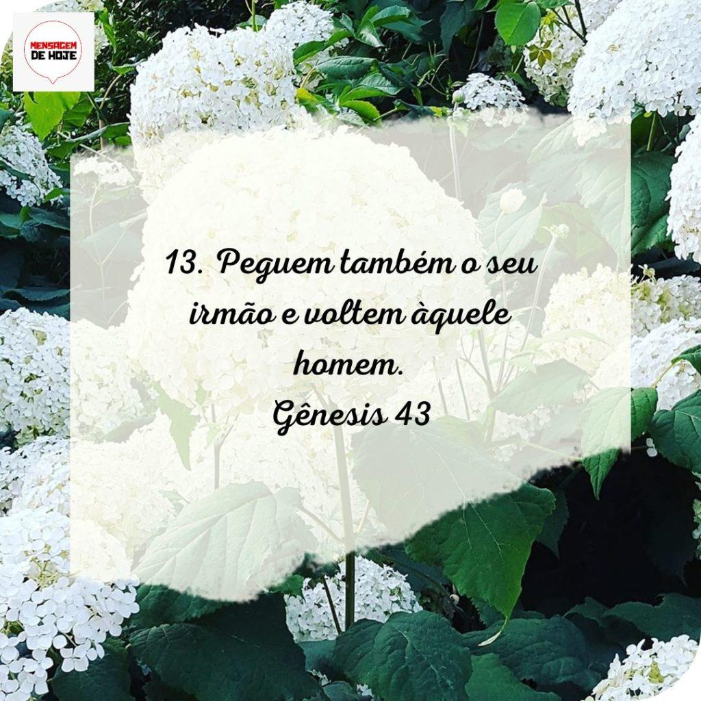 Salmos 07 de Julho de 2022 13