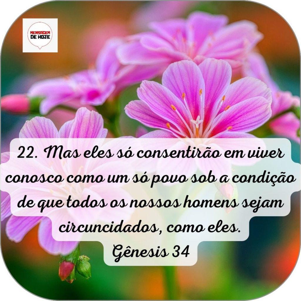 Salmos 06 de Junho de 2022 13