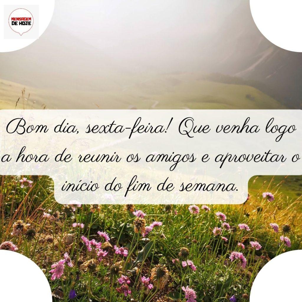 Bom Dia 18 de Junho de 2022 13