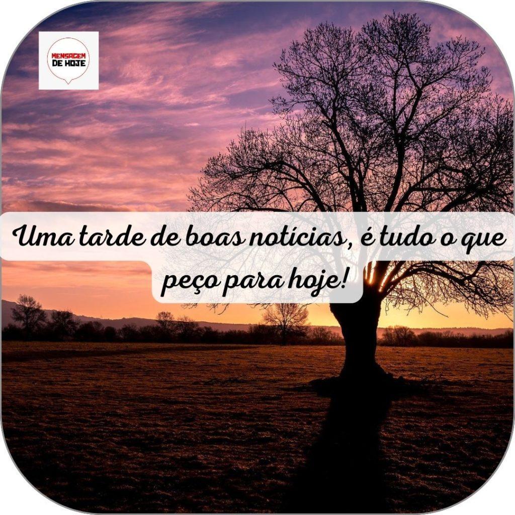 Boa Tarde 14 de Junho de 2022 15