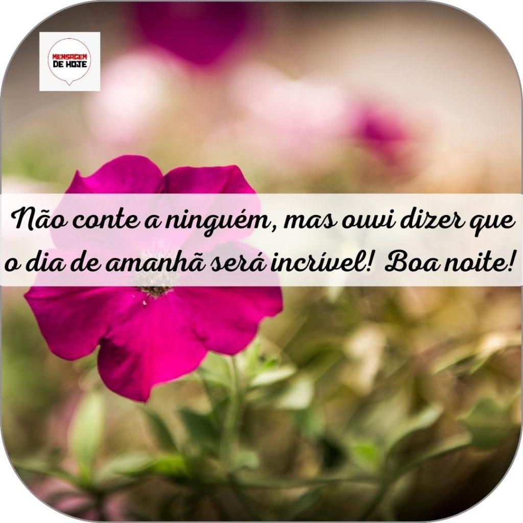 Boa Noite 11 de Junho de 2022 15