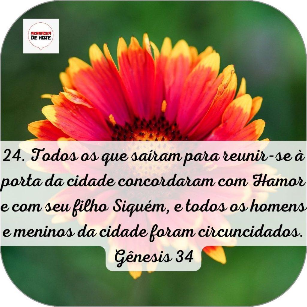 Salmos 06 de Junho de 2022 17