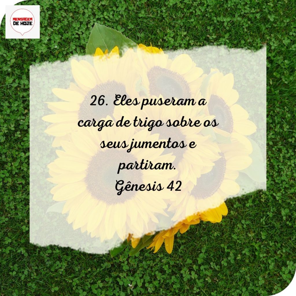 Salmos 05 de Julho de 2022 5