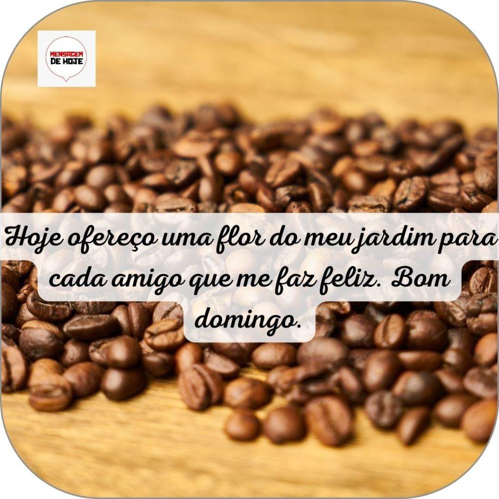 Bom Dia 27 de Junho de 2022 19