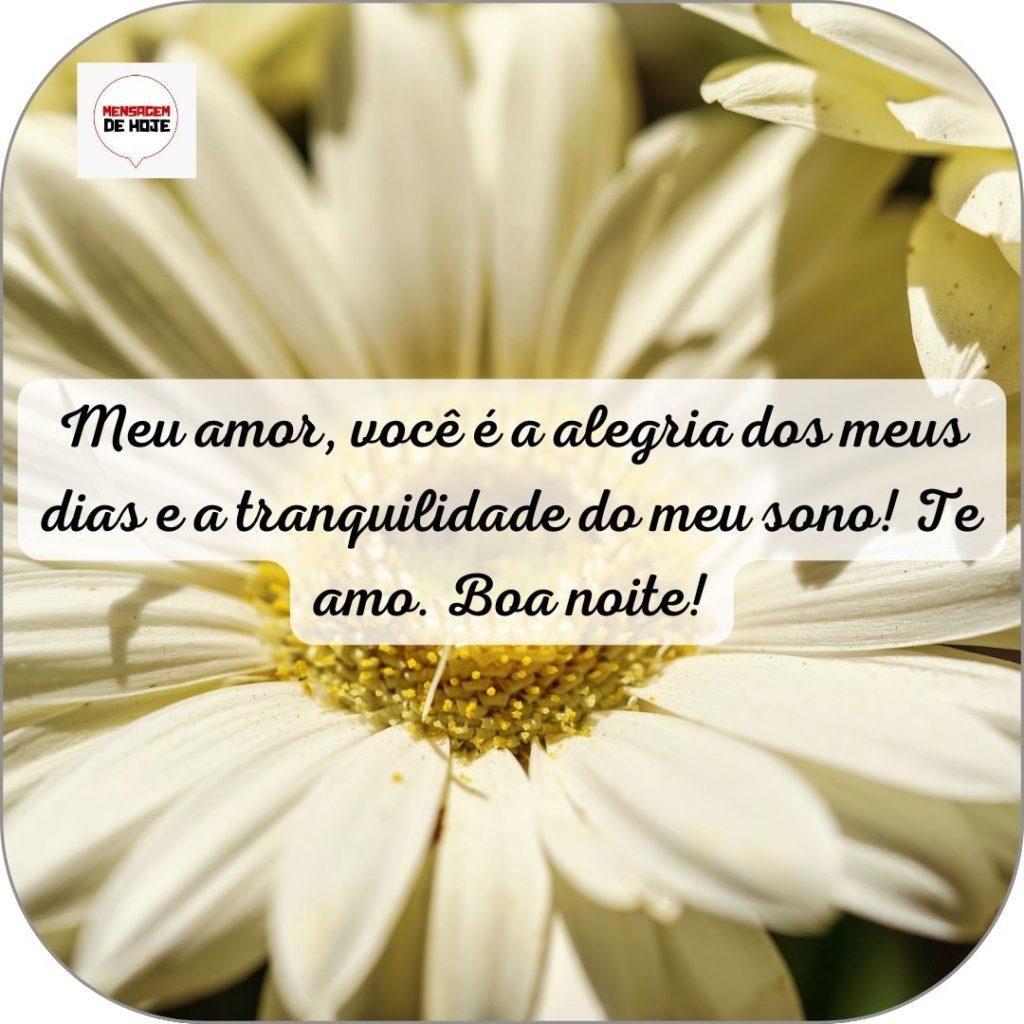 Boa Noite 12 de Junho de 2022 3