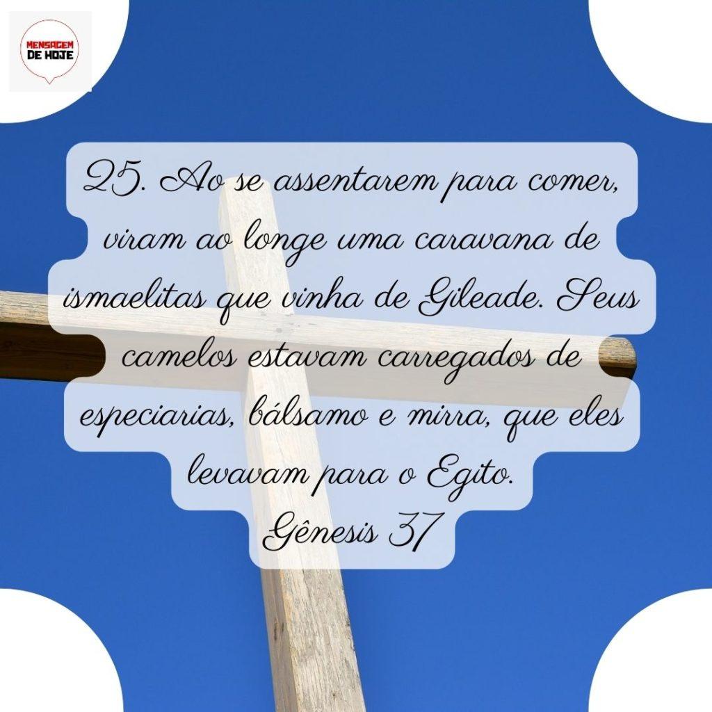 Salmos 21 de Junho de 2022 9